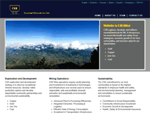 Tablet Screenshot of pi-cap.com